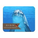 Kinder Frühstücksbrettchen Delfin, Kunststoff,...